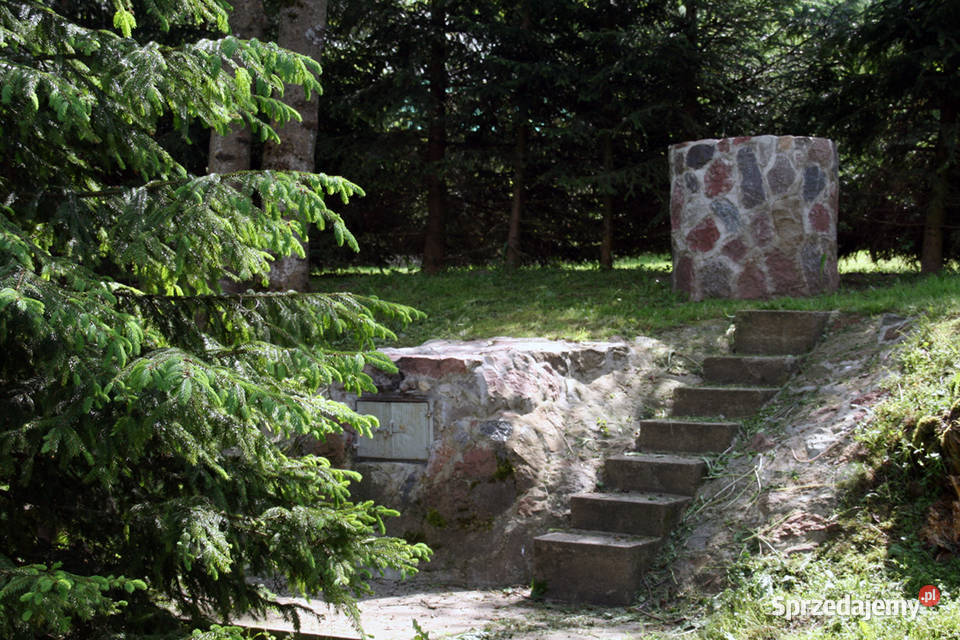 Wynajem domków letniskowych jeziorem Mazury Barcie