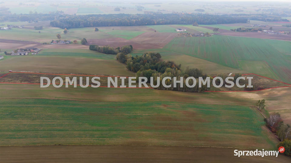 sprzedaży gruntu 3000m2 Jasień