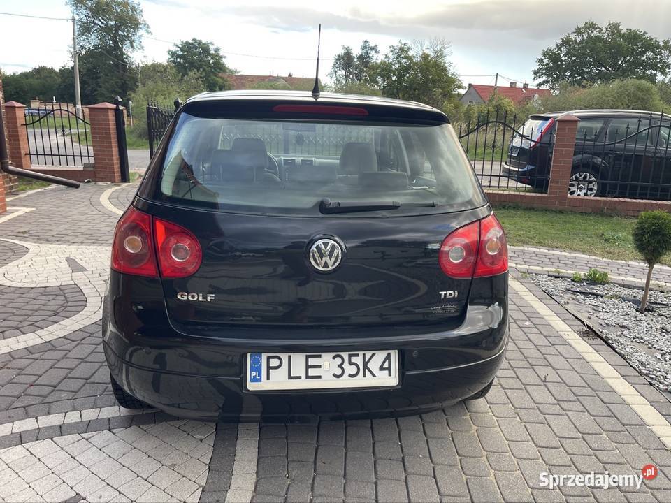 Volkswagen Golf V z 2007 roku z silnikiem 19 TDI Golf Orsk