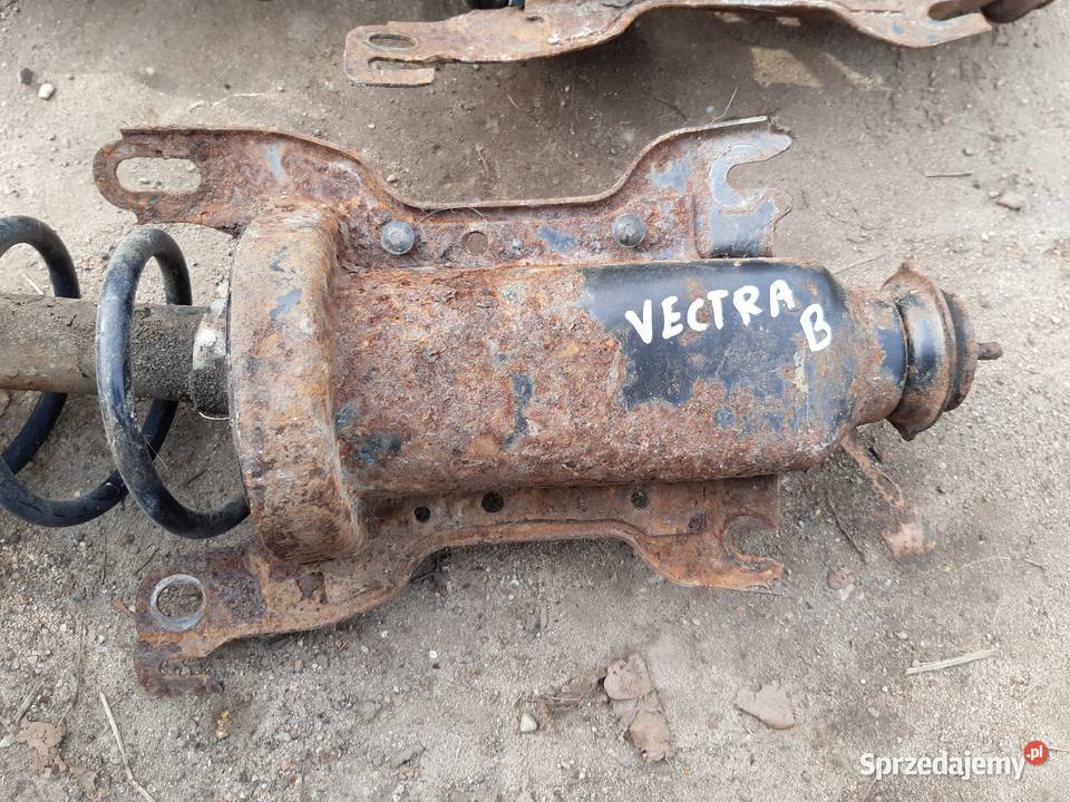Vectra B Amortyzator tyl tylny z mocowaniem Mińsk Mazowiecki