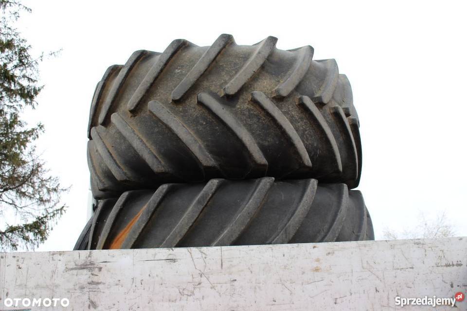 Holland TX36 tx34 Sokoły sprzedam