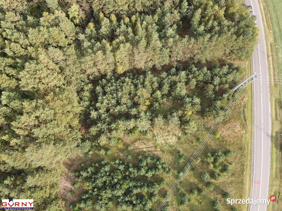 Działka Antoniówka 4675m2 140m