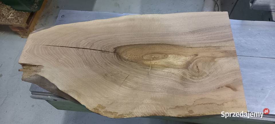 deska monolit ryba opolskie Błotnica Strzelecka sprzedam