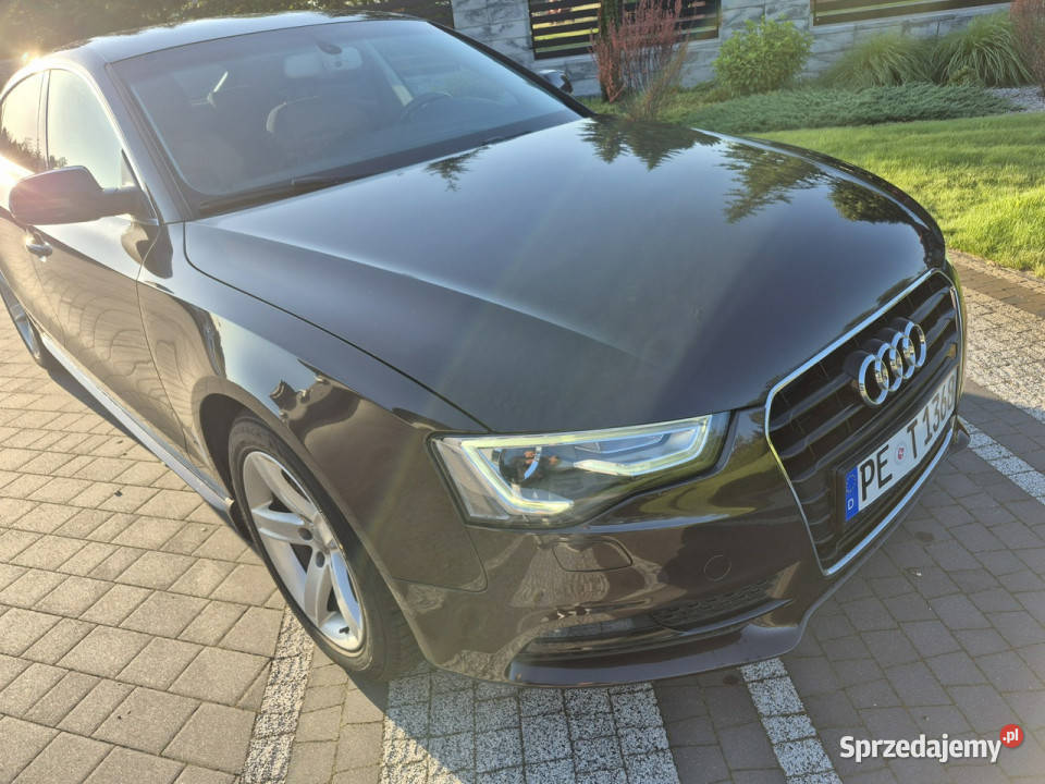 Audi A5 Sportback xenon led navi chromy ładny lakier metallic lubelskie Drelów