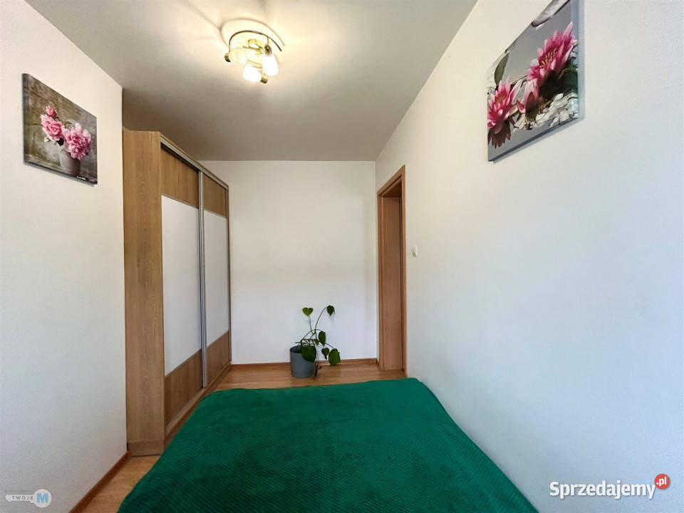 Grunt 15160m2 Łopuszno sprzedam
