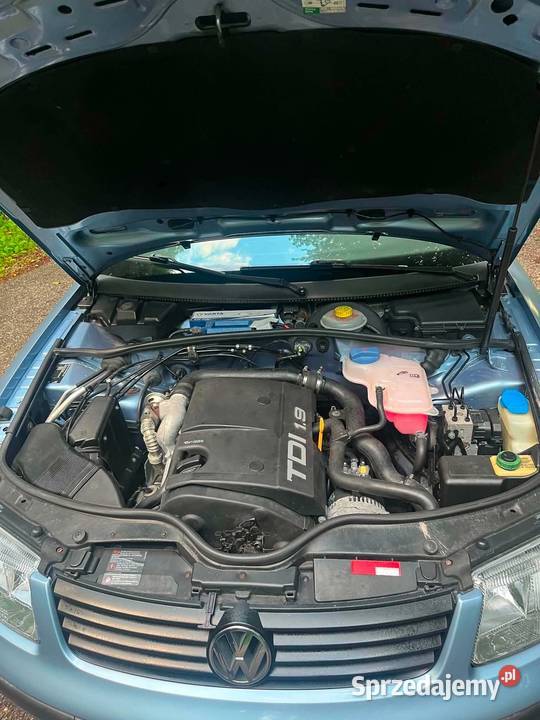 Volkswagen Passat B5 19 TDI Pilica