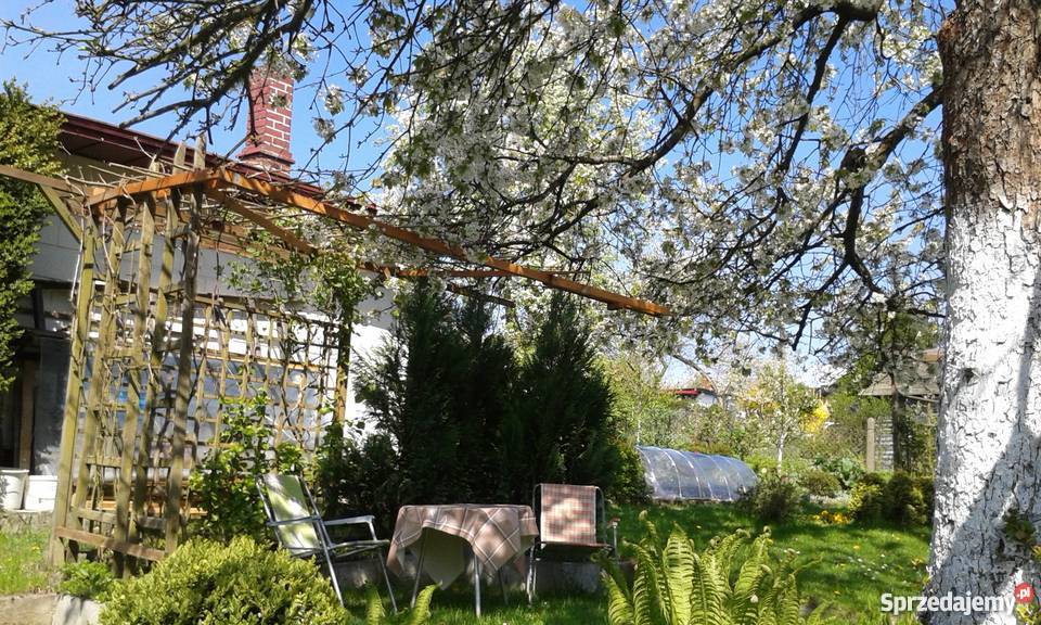 Działka rekreacyjna na ROD Skarbówek Szczecin