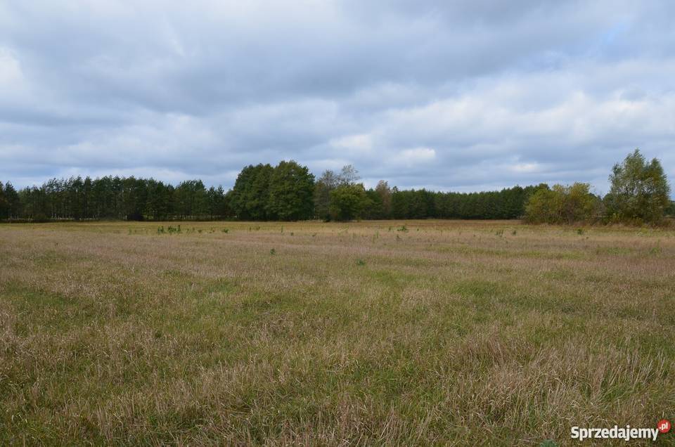 Piękna działka jez Białe mazowieckie Gostynin