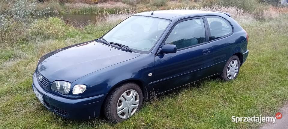 Toyota Corolla 14 285000km Gorzów Wielkopolski sprzedam