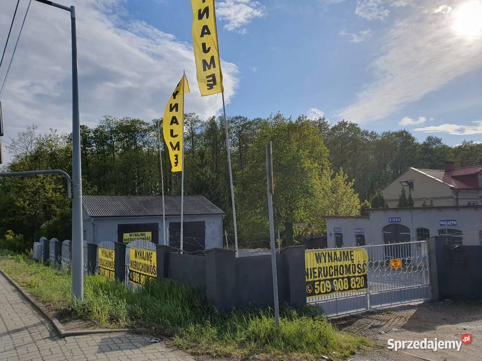 Warsztat samochodowy Magazyn wynajmę DK91 Lubień Kujawski