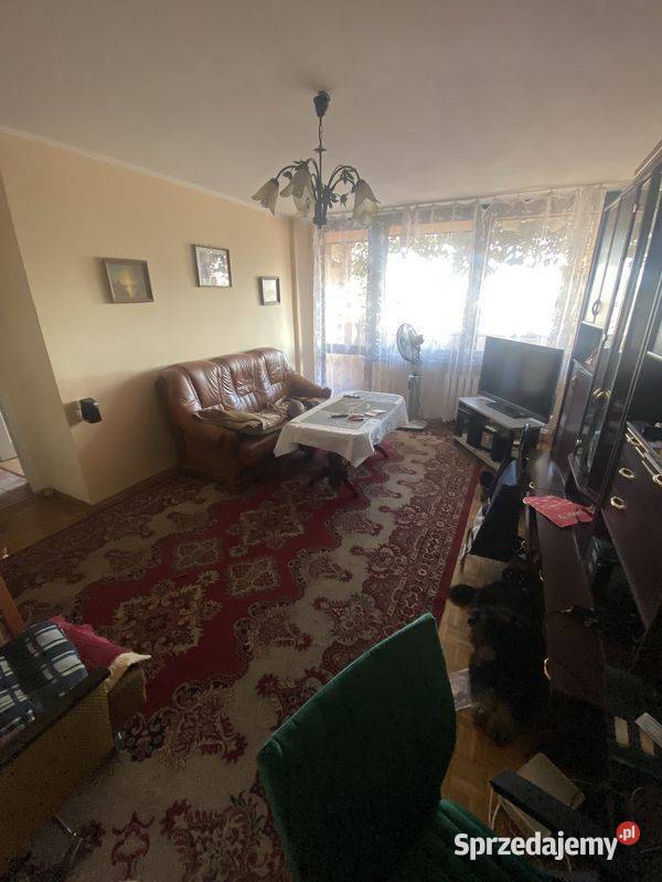 2pok 50met Horbaczewskiego BALKONPIWNICA Wrocław