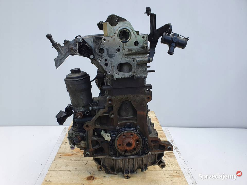 SILNIK BEZ OSPRZĘTU VW Golf V 19 TDI 105 BLS Rudka