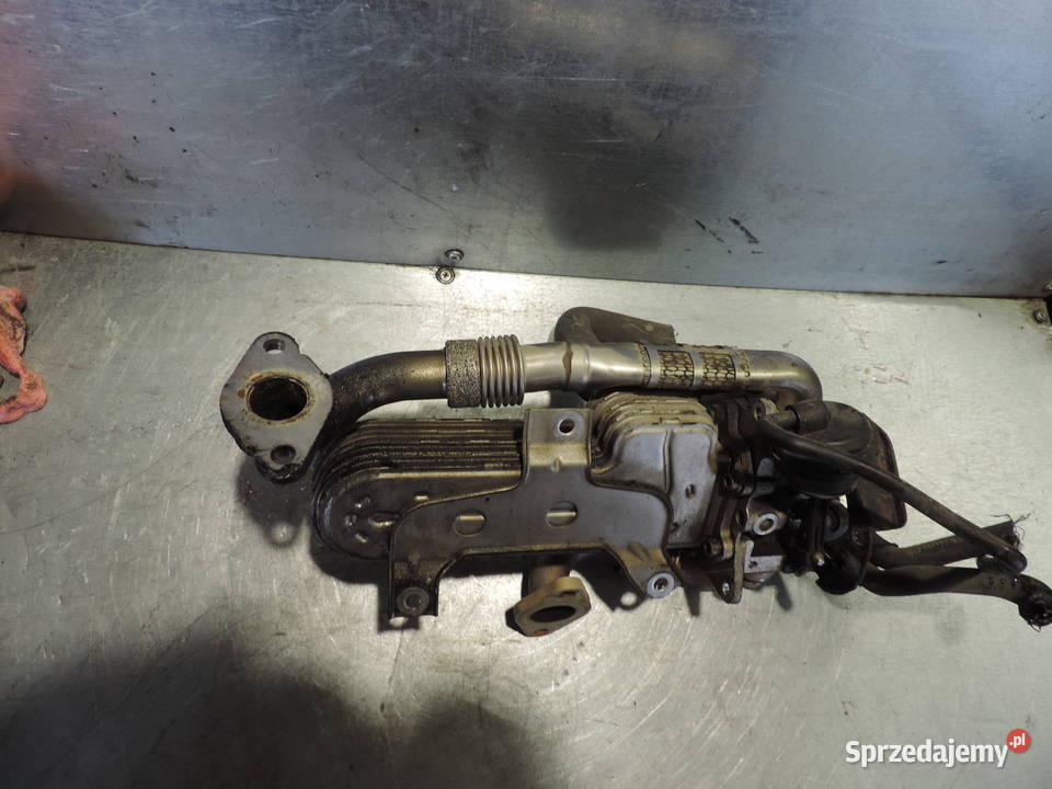 VOLKSWAGEN SKODA SEAT 19TDI CHŁODNICA SPALIN małopolskie Nowy Sącz sprzedam
