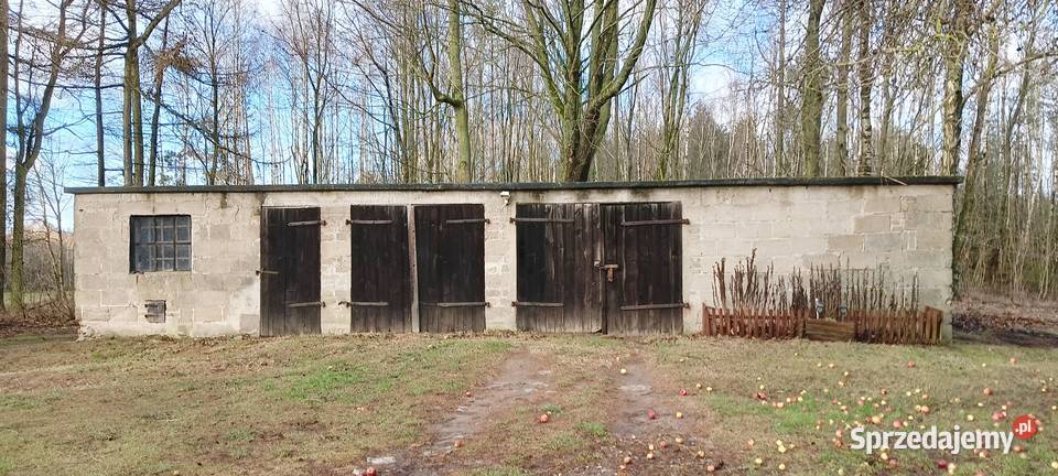 Dom w Donimierzu k Szemuda na dużej dzialce 120m2