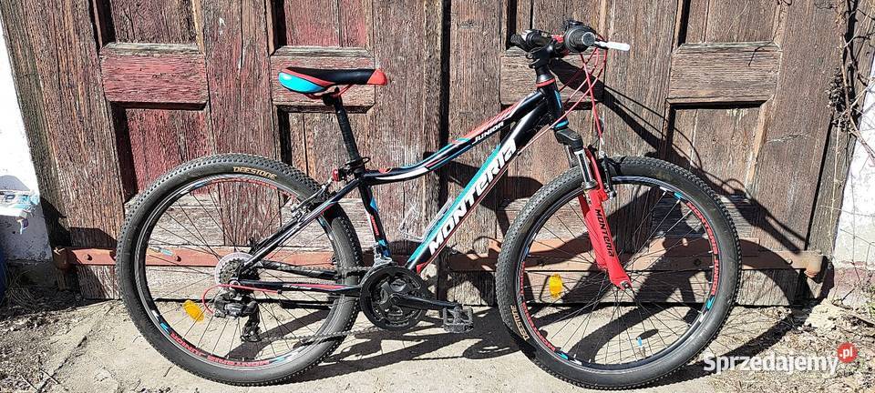 Rower juniorski MTB Monteria Junior 26 rama 15