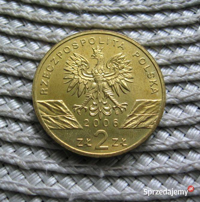 Polska 2 GN 2006r Świstak Ładna Numizmatyka Kalisz