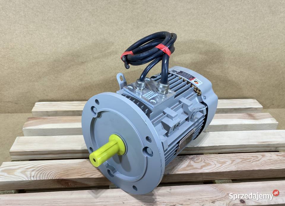 silnik elektryczny 4kW 1450obr 3fazowy Pigża