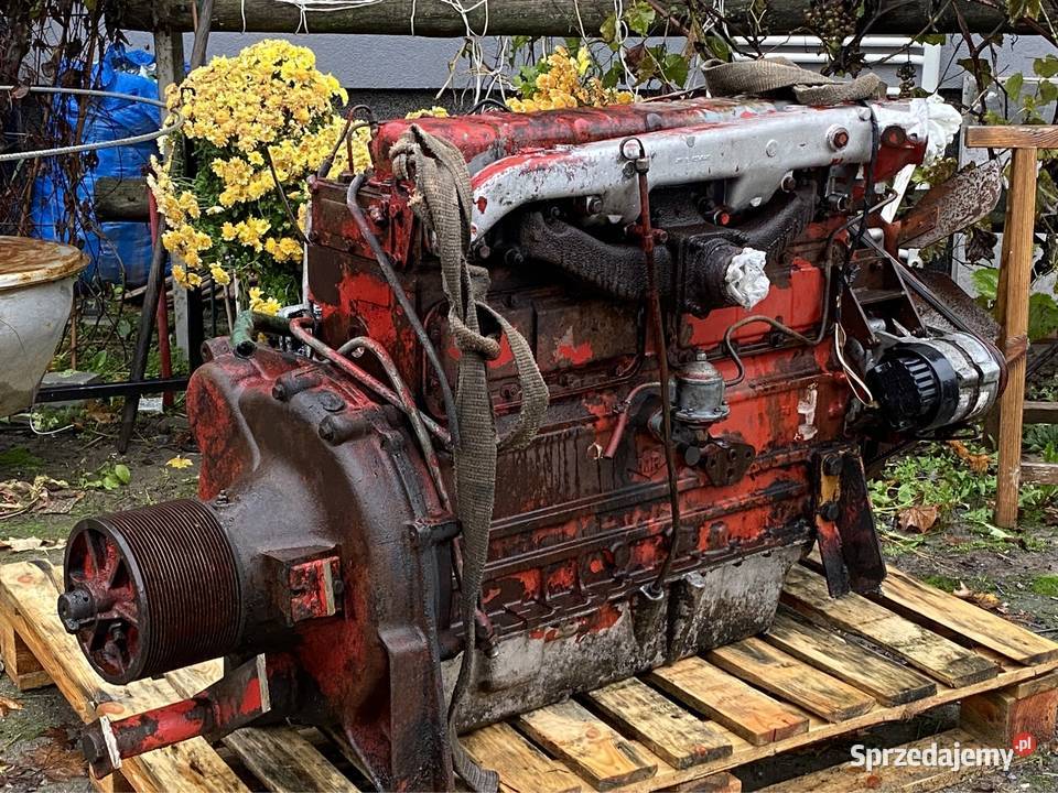 Silnik perkins 3 cylindrowy z massey ferguson Bychawa