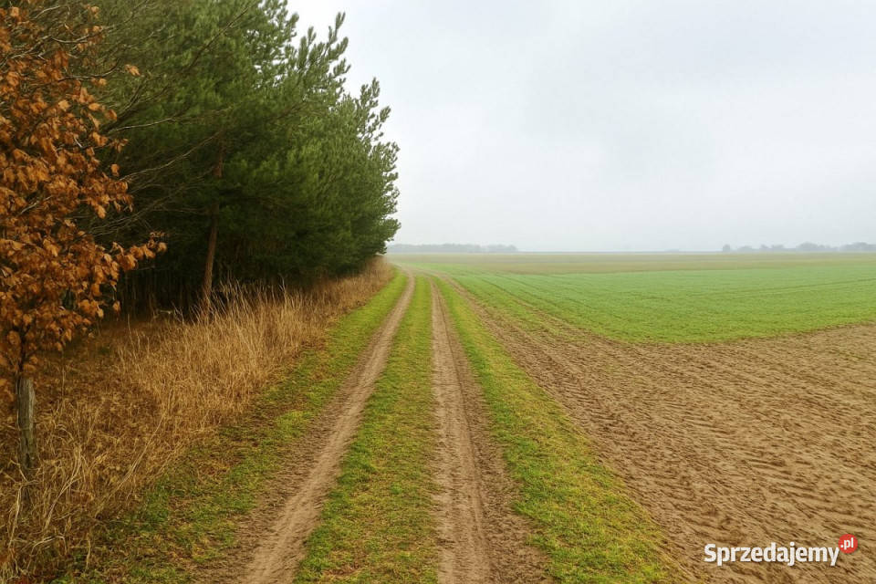 Działka 6900m2 Trawniki