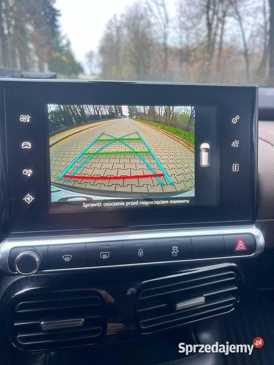 Citroen C4 Cactus Motoryzacja Zgierz