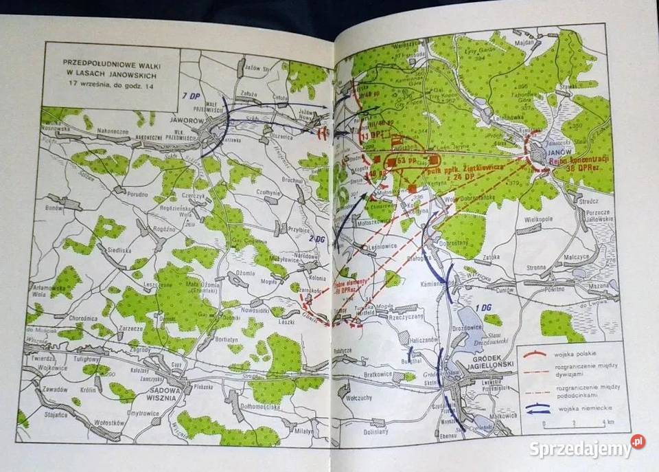 Cieniom Września Kazimierz Sosnkowski lubelskie Chełm sprzedam