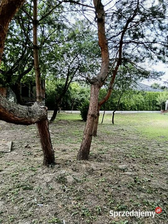 Dom z działką sochaczew