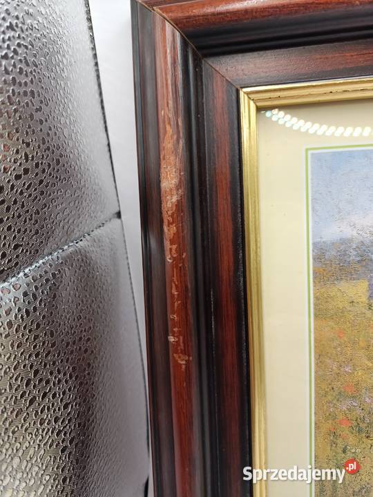 OBRAZEK OBRAZ SZKŁEM REPRODUKCJA ZDJĘCIE Zamość