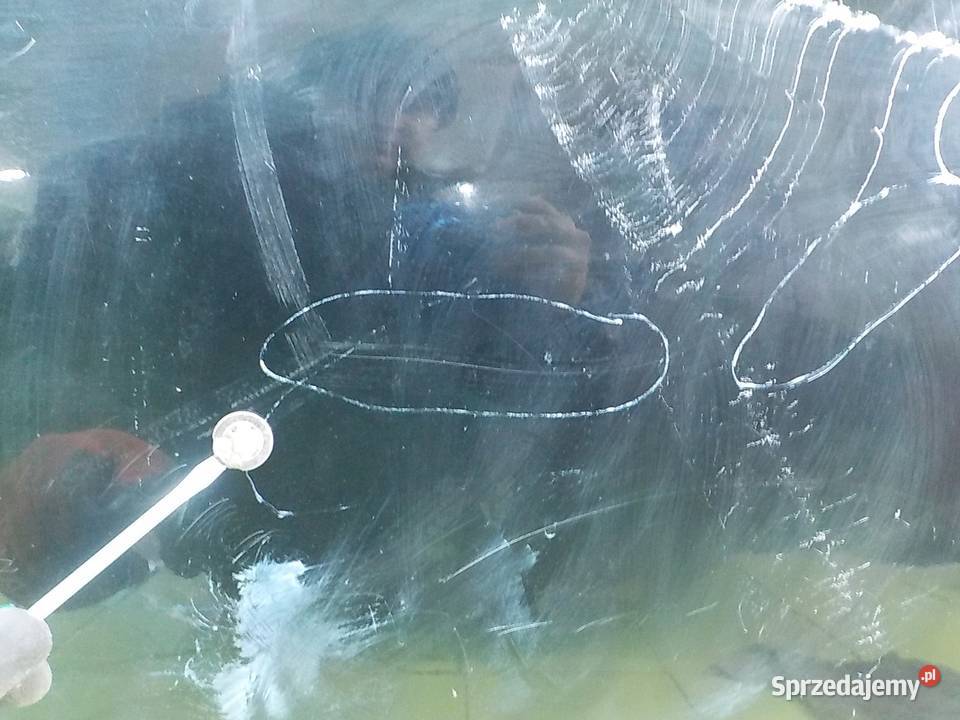 INSIGHT II 13 IMA HB 5D drzwi lewe tyl Suków