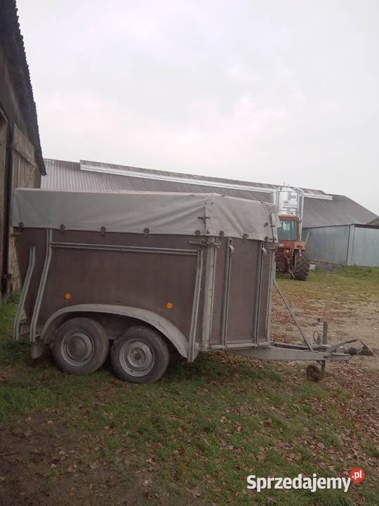 Przyczepka samochodowa Boeckman