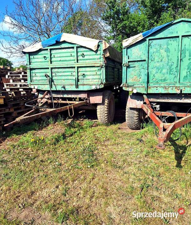 Przyczepa rolnicza Autosan D50 6 t 2 sztuki dolnośląskie