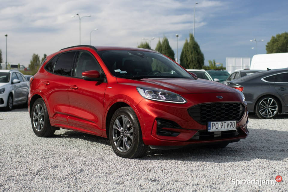 Ford Kuga 15 Ecoboost 150 ST Line X Salon 9TV90 Poznań sprzedam