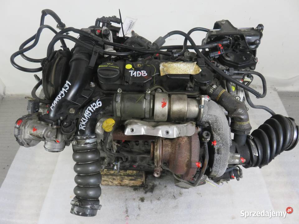 SILNIK FORD FOCUS MK3 III 16 TDCi T1DB 115 osobowe