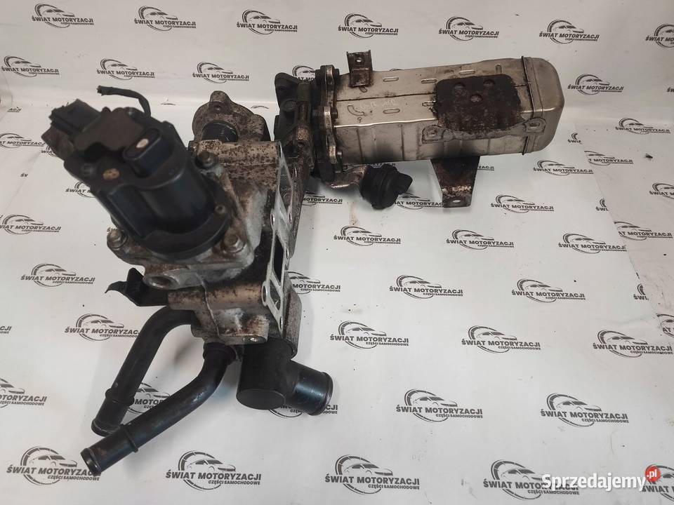 HYUNDAI IX35 11r 20 CRDI D4HA M20MT 135 zawór Kielce