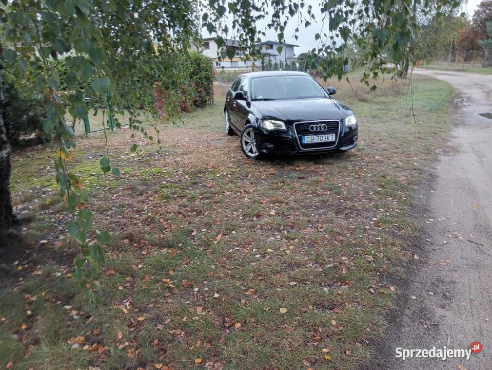 Audi A3 P8 2.0TDI^140KM^automat^B.dobry stan^Czarna^Sportback