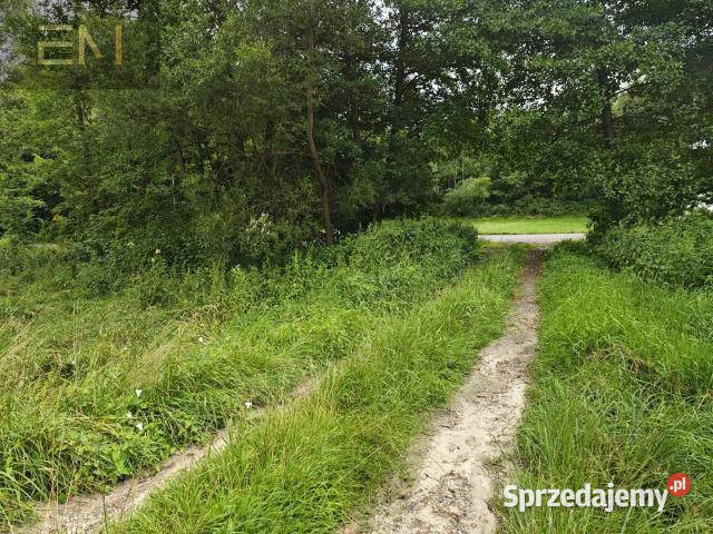 sprzedaży działki Huta Gogołowska 5100m2 8zł/m2 Sprzedaż sprzedam