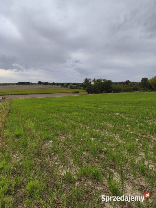 Sprzedam dz. budowlane na wzgórzu z pięknym widokiem, Pomocnia,Pomiechówek