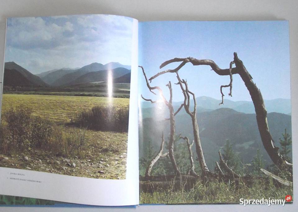 MŁ Niżne Tatry Warszawa