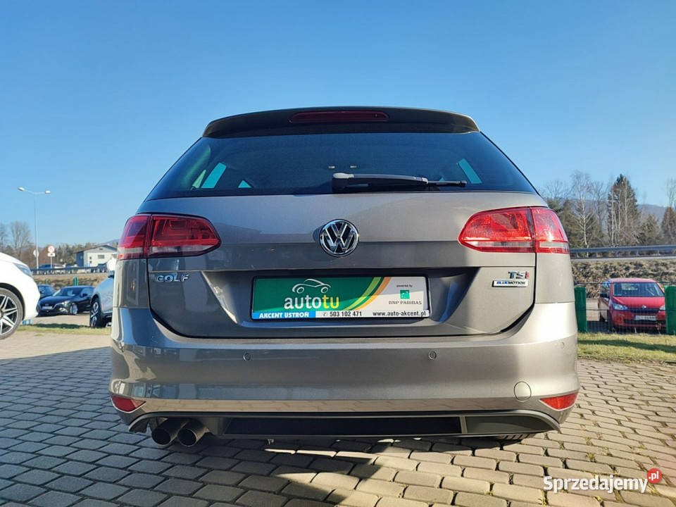 Volkswagen Golf Oryginalny lakier 100 pełny Ustroń
