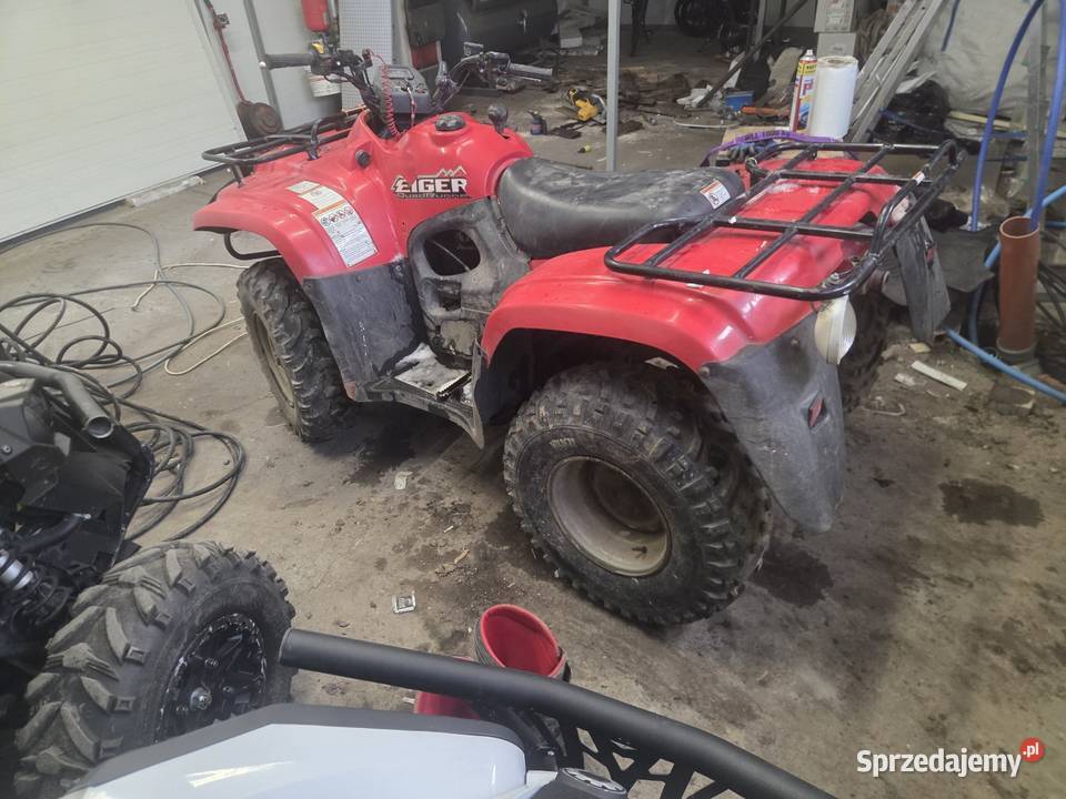 Dyfer przód suzuki eiger dyfer tyl Pozostałe pomorskie Wiele