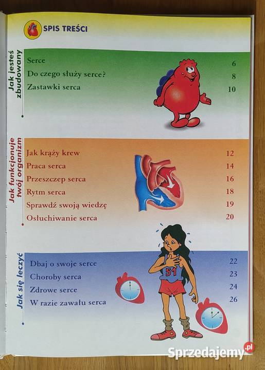 Ciało człowieka BYŁO SOBIE ŻYCIE sprzedam