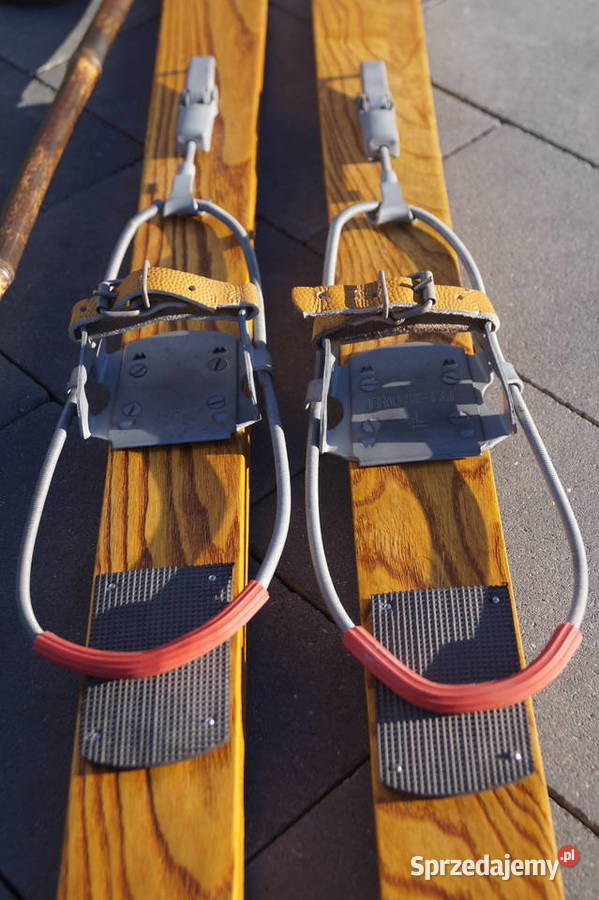 Stare narty jesionowe 150 kijki w komplecie