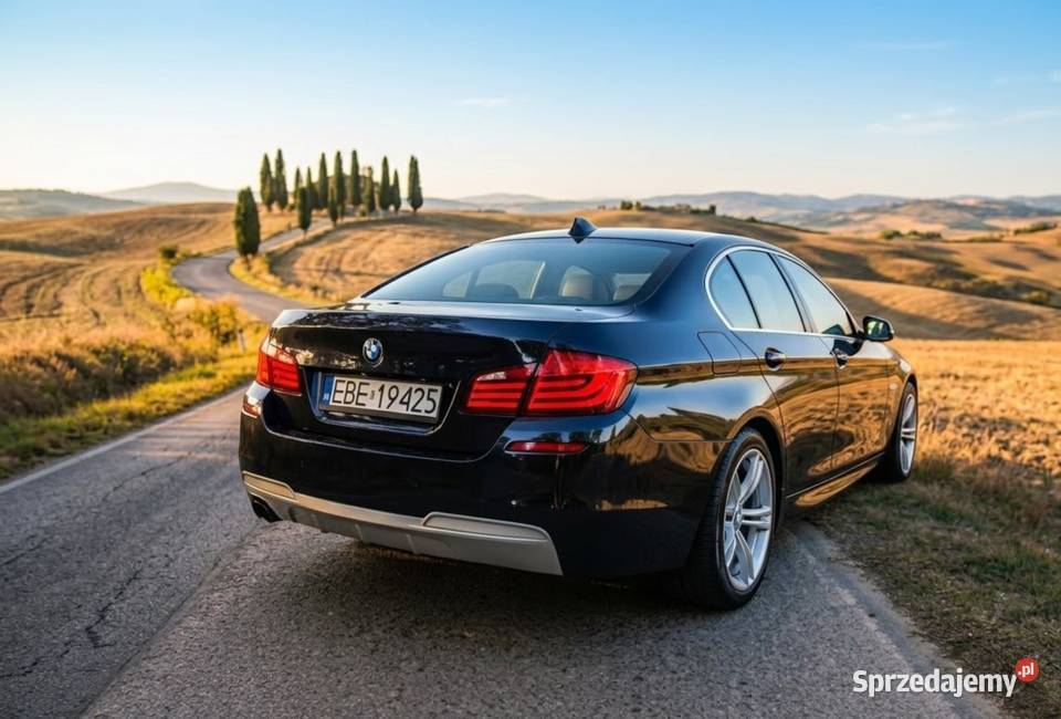 BMW Seria 5 F10 MPakiet skóry zadbany okazja lakier metallic łódzkie Bełchatów
