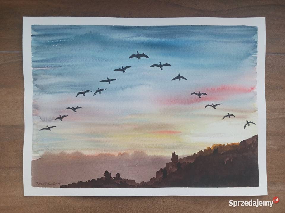 Akwarela Akwarelka Obraz pt Klucz Gęsi 31 x 23 sprzedam
