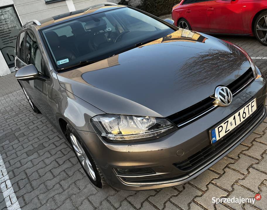 VOLKSWAGEN GOLF VII Kompaktowy samochód z 2013 r Palędzie