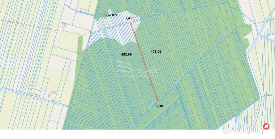 Las mieszany 4200m2 w Mysłowie Mysłów sprzedam