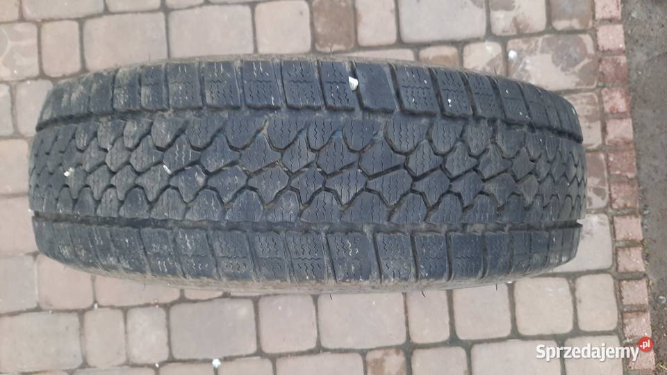 Opony zimowe Dayton 2 sztuki Jelno