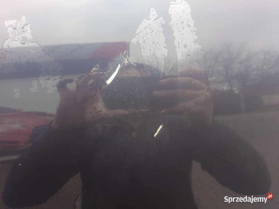 Drzwi Gołe Tył Lewy LZ5L Audi A4 B5 a40