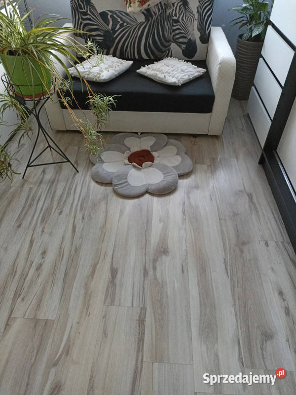 dywani srednica 70 wielokolorowy kujawsko-pomorskie Solec Kujawski