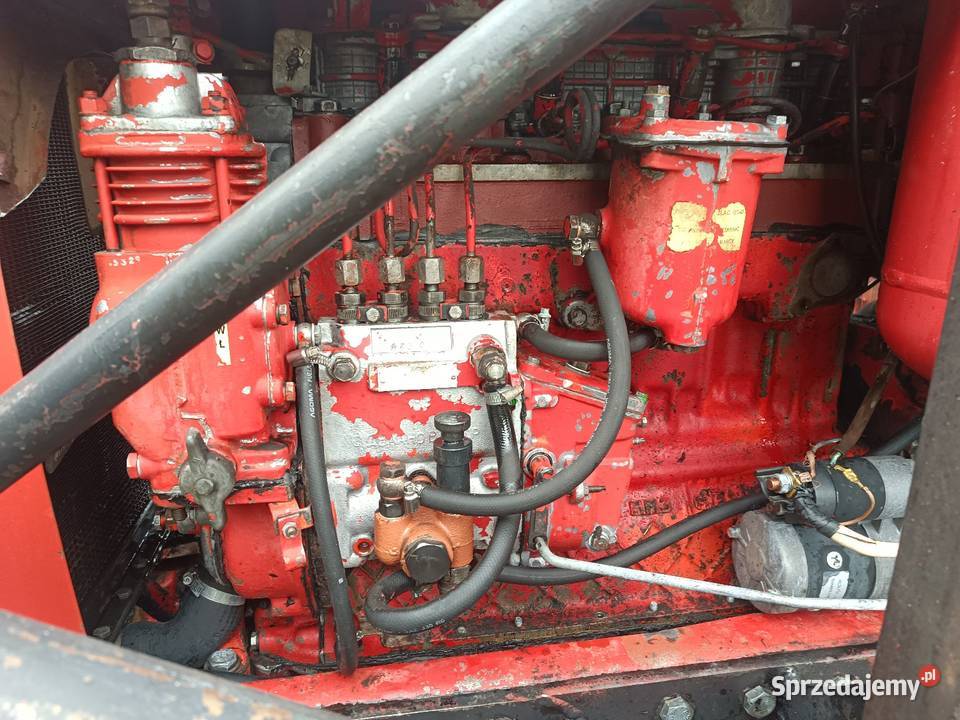 MTZ Belarus 82 Ładowacz czołowy Borówek