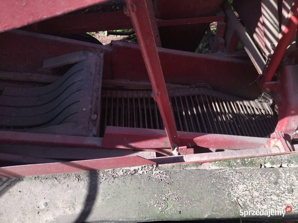 Grimme Europa standart